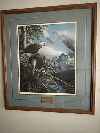 Alaska framed artwork