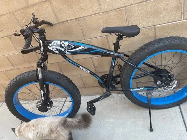 Brand new mountain bike fat tires
