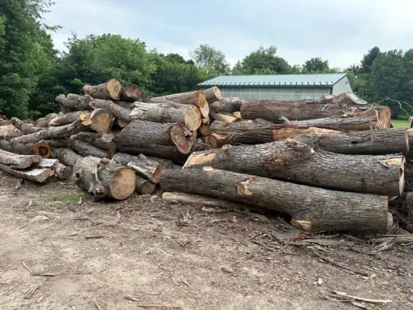 Firewood Logs for sale!