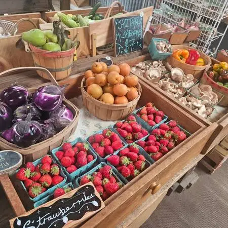 Lilliputopia Farm Stand