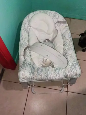 Baby bouncer