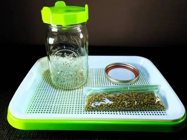 Sprouting Tray Kit 1 Quart Jar, Lids + Organic Mung Beans
