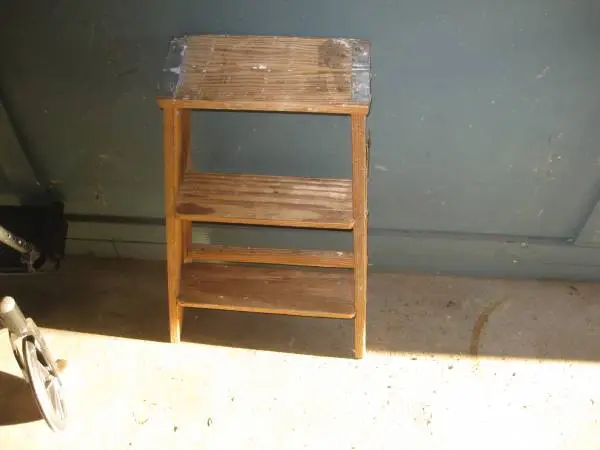 SMALL STEP LADDER