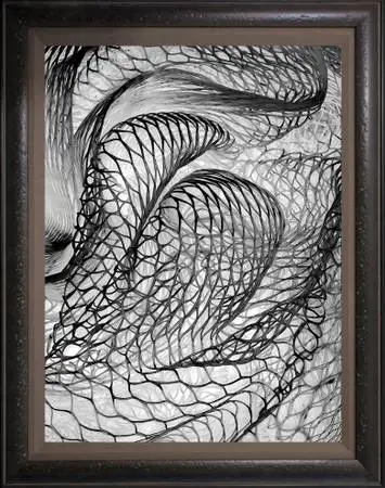 Black Mesh, 18x24 photograph framed, 23x29 wall space