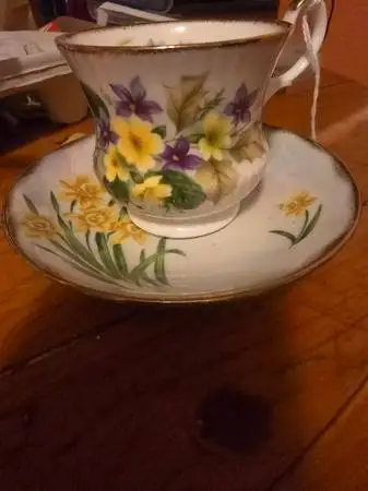 Royal Heritage floral Cup and Saucer set