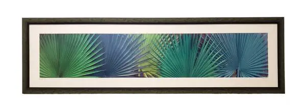 Photograph: Florida Tropic by Steve Vaughn, framed, 19 x 63