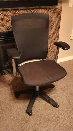 Knoll Life Ergonomic Task Chair