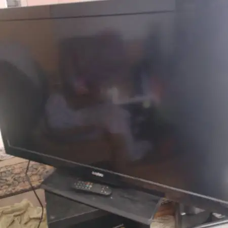 Sanyo 42 flat screen TV, HDMI inputs, no remote, works great, $30
