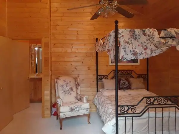 Queen wrought iron canopy bed
