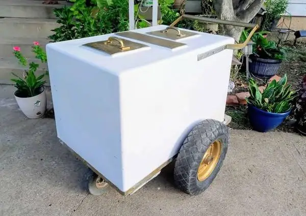 Very Cool Commercial Ice Cream Cart for sale!