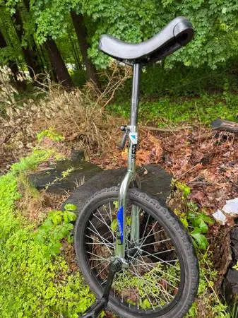 Sun Classic 20 inch Chrome Unicycle