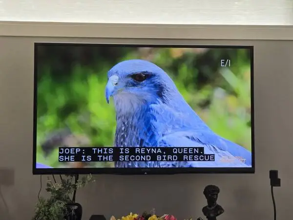 70 SERIES 7, 1080P LED SMART TV, WiFi, UltraSlim, 4 HDMI AQUOS Remote