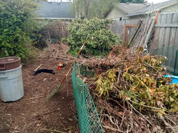 SEASONAL CLEAN UP / GUARANTEED SERVICE