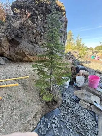 LANDSCAPE BUILD + DESIGN