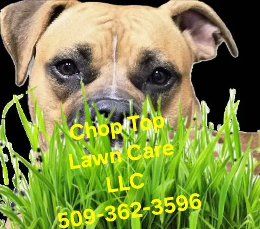 Owner Operator