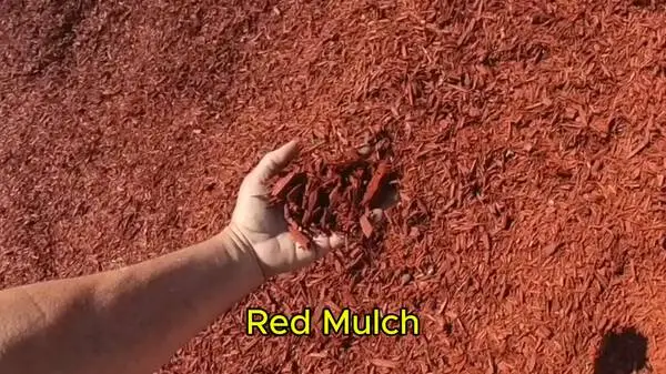 Mulch