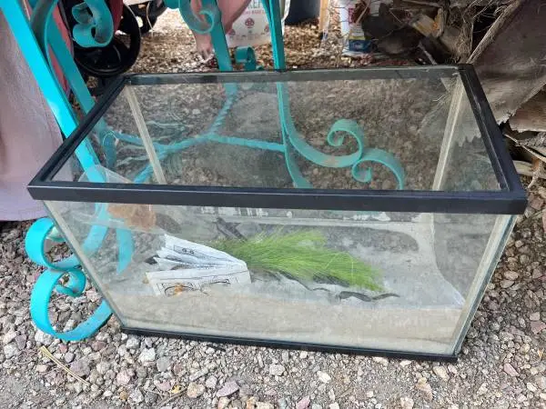 Fish tank
