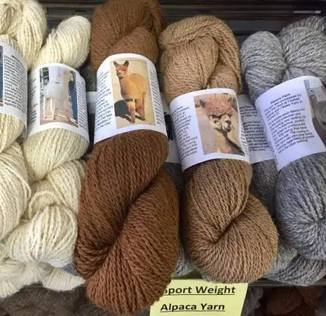 Alpaca Fiber - Raw Fleece, Roving, Yarn