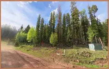 Incredible Deal! Residential Lot in Angel Fire Chalets
