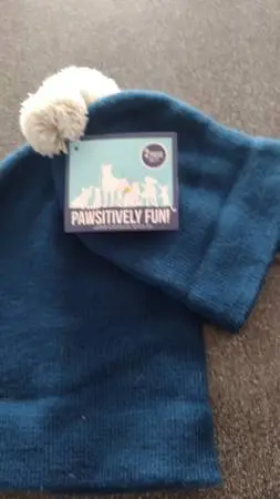 Pet and owner matching beanie hats super cute! Brand new!