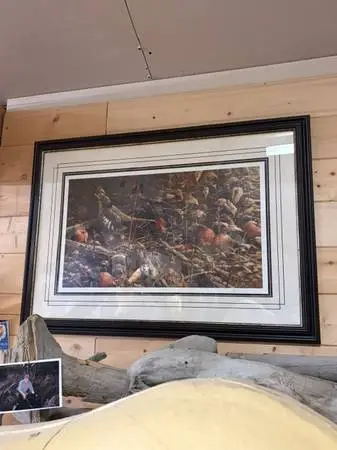 RUFF GROUSE FRAMED PRINT