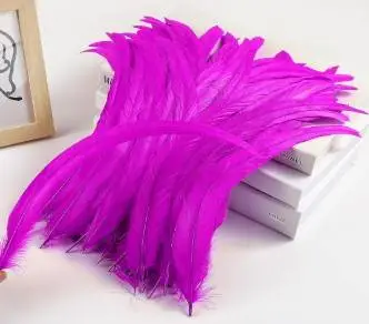 Feathers - HOT PINK - NEW