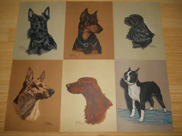 A Portfolio of Purebred Dogs 1947 color plates