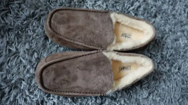 New UGG Ascot Slipper
