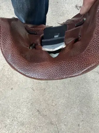 Alligator motorcycle seat