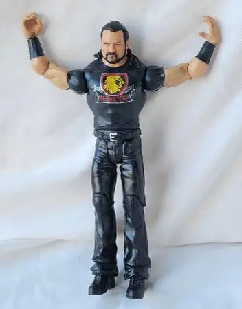 WWE Wrestling Drew McIntyre Toy Action Figure