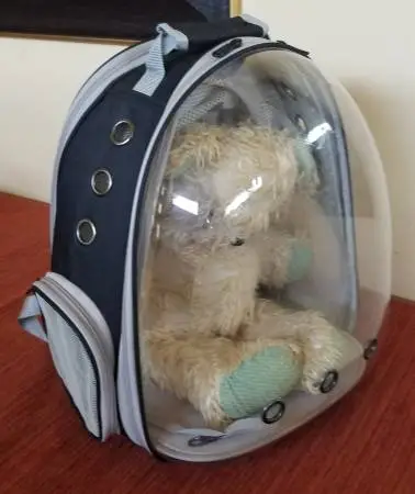 Cool, Comfy Expanding Pet Carrier Backpacks