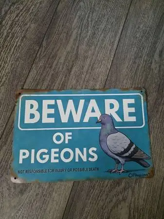 Pigeon sign / Pigeons / Birds / Homing Pigeons / Highfler pigeon