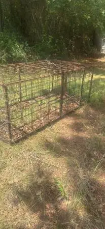 Hog trap