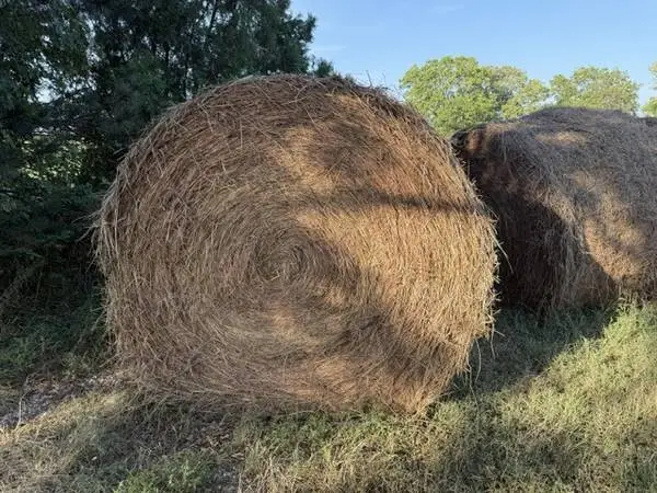2026 Native Grass Hay