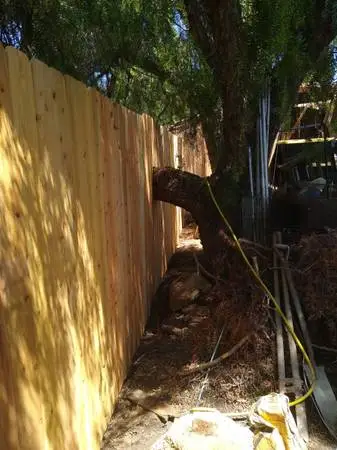 Mr Fence
