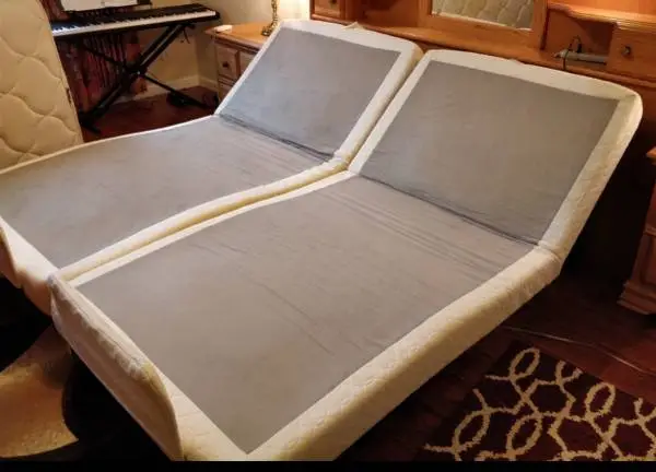 Orthomatic King (2 Twin) Motorized Bed Set With Remotes 1997 Model A1001