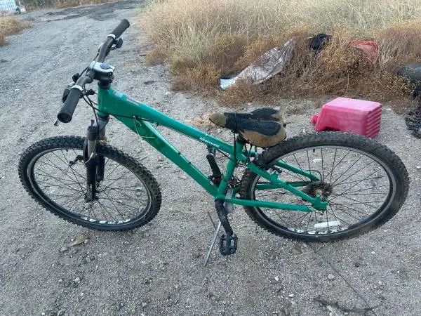 Diamond back DB response mountain bike