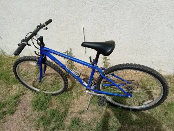 Schwinn frontier 21 speed mountain bike
