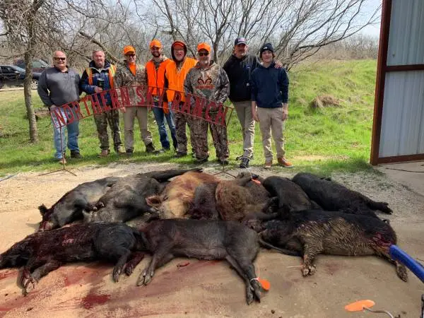 Wild Hog Hunt