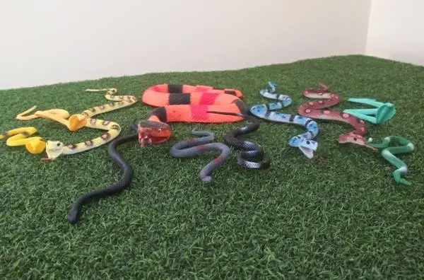 Toy snakes lot