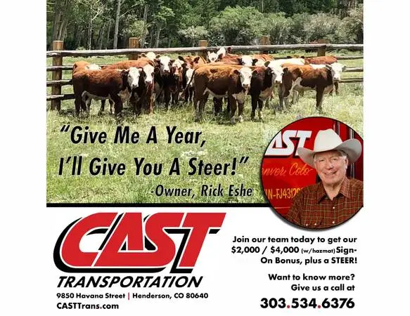 Local / Regional Driver