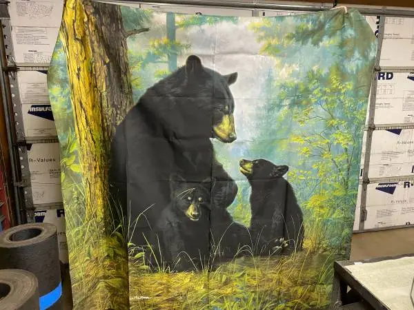 Shower Curtain - James Hautman - 3 Bears - LIKE NEW!!
