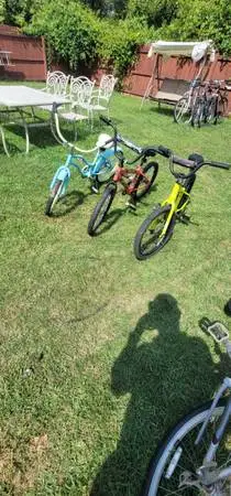 3 20 Kids Bikes (All Pedal Brakes)  good Condition($50 each)