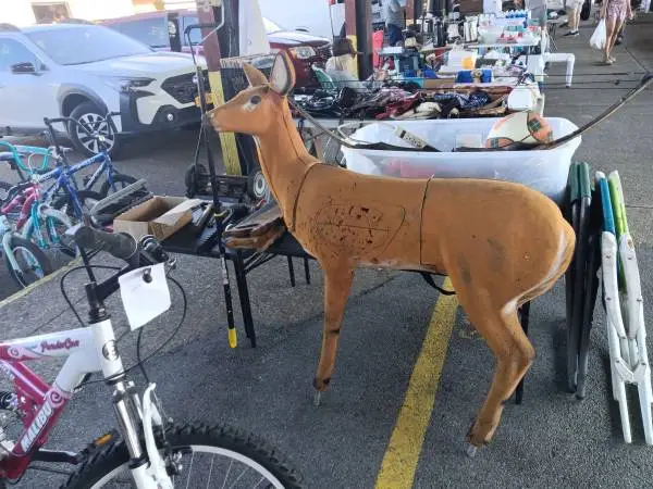 Archery practice/Deer