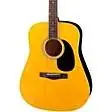 2Rogue RD80 Dreadnought Acoustic Guitar