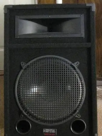 Speaker Pro Audio