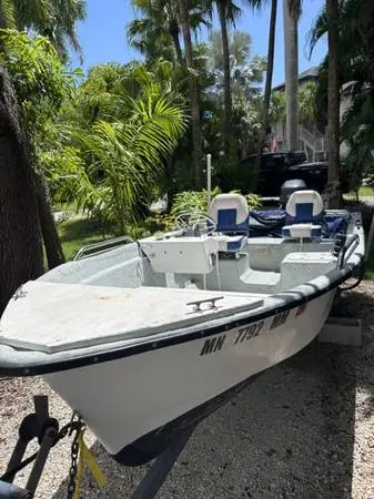 25 HP Yamaha 4 stroke with v hull stump jumper