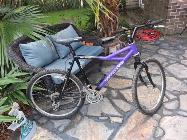 Cannondale Delta V 900