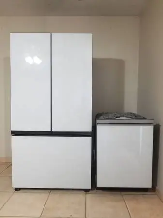 Samsung refrigerator and dishwasher
