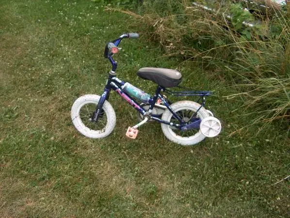 GLAMOUR GIRL GIRLSKIDS BICYCLE